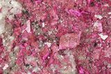 Sparkling Cobaltoan Dolomite Crystals on Quartz - DR Congo #371609-1